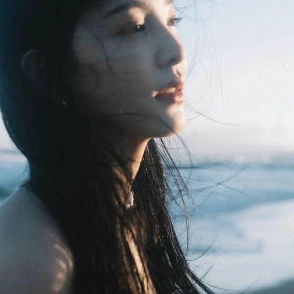 双面追缉